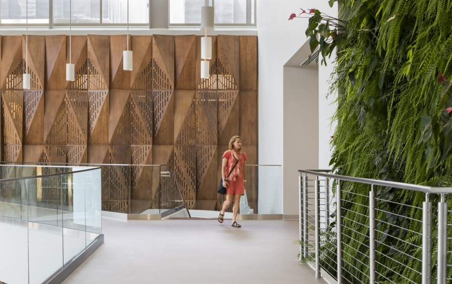 Environmental, Social and Governance